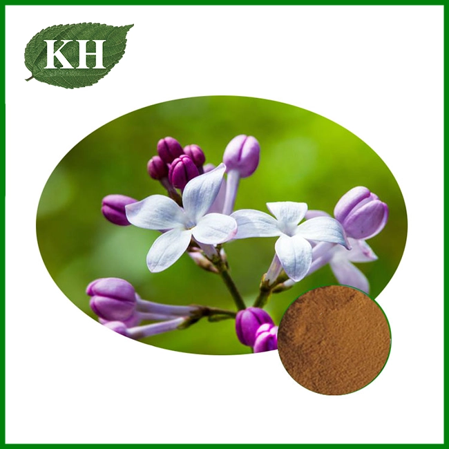 Clove Extract Powder